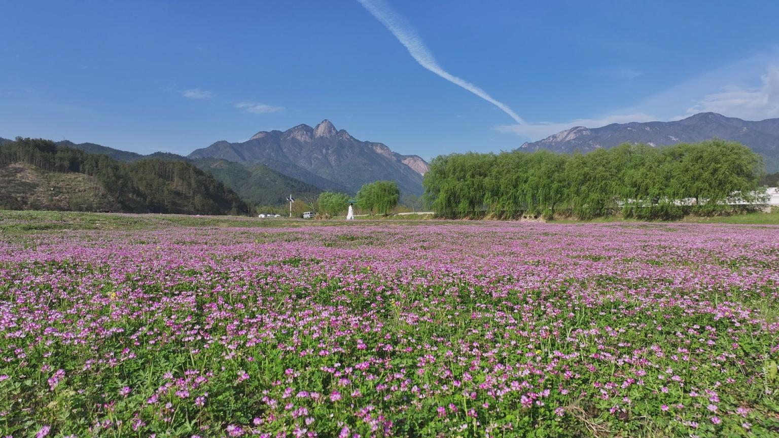 组图｜九资河春景
